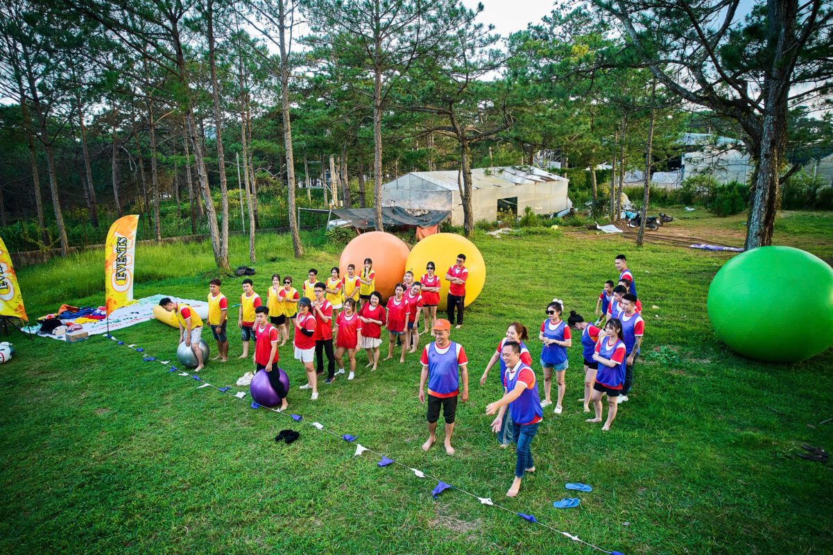 dich vu quay phim team building su kien da lat gia re