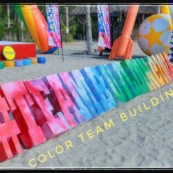 BÌA MÔ HÌNH GIÁ RẺ