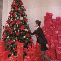 trang tri cay thong da nang nhanh