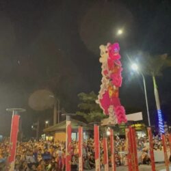 MUA LAN MAI HOA THUNG GIA RE DA NANG