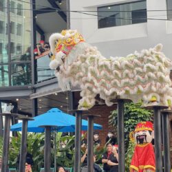 MUA LAN SAN MOI DA NANG