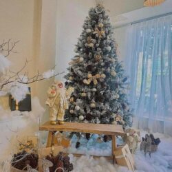 TRANG TRÍ CÂY THÔNG NOEL