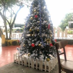 TRANG TRÍ CÂY THÔNG NOEL