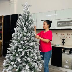 trang tri giang sinh noel gia re da nang