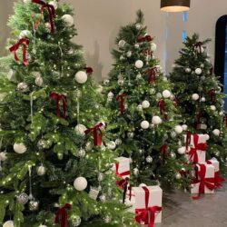 trang tri giang sinh tai da nang