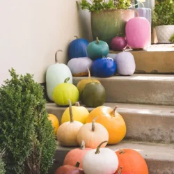 trang trí haloween da nang bi ngo