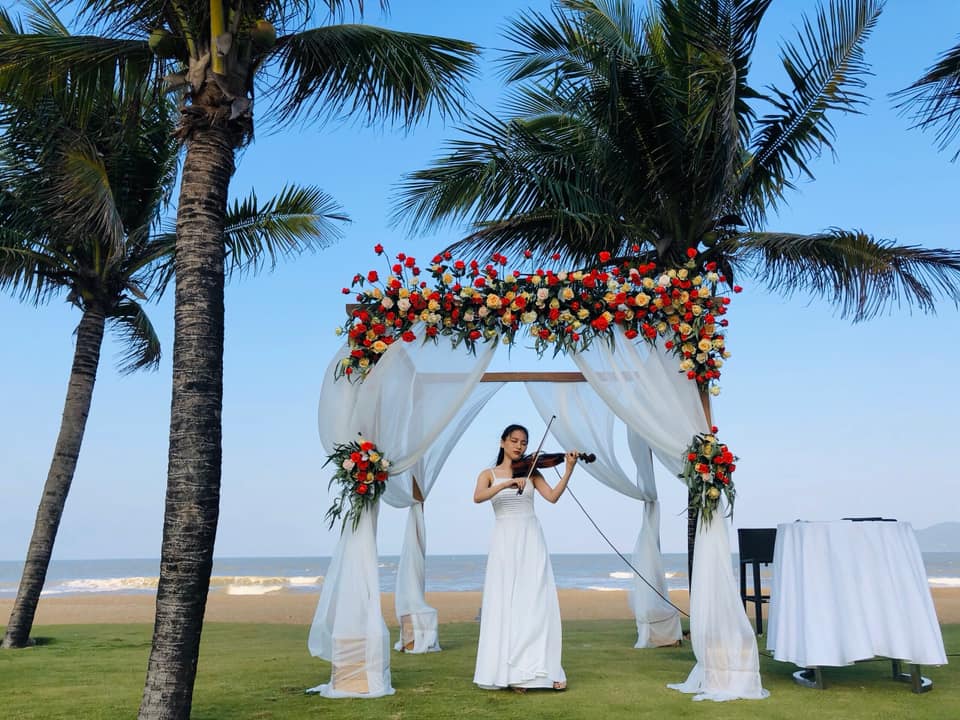 doc tau violin danang