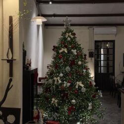 decor cay thong hat gao đà nẵng