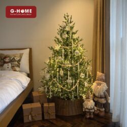 dich vu cay thong decor da nang