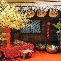 thi cong tieu canh tet da nang