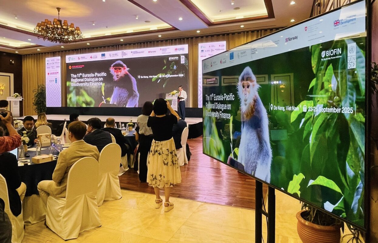 tivi thiet bi hoi nghi hue