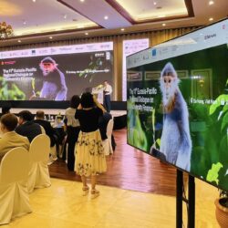 tivi thiet bi hoi nghi hue