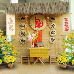 TIEU CANH TET DEP 2026