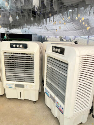 CHO THUE QUAT HOI NUOC GIA RE DA NANG